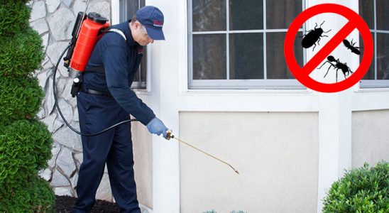 Eğil Dezenfeksiyon böcek ilaçlama ve haşere kontrolü — ilaclama-tr.com